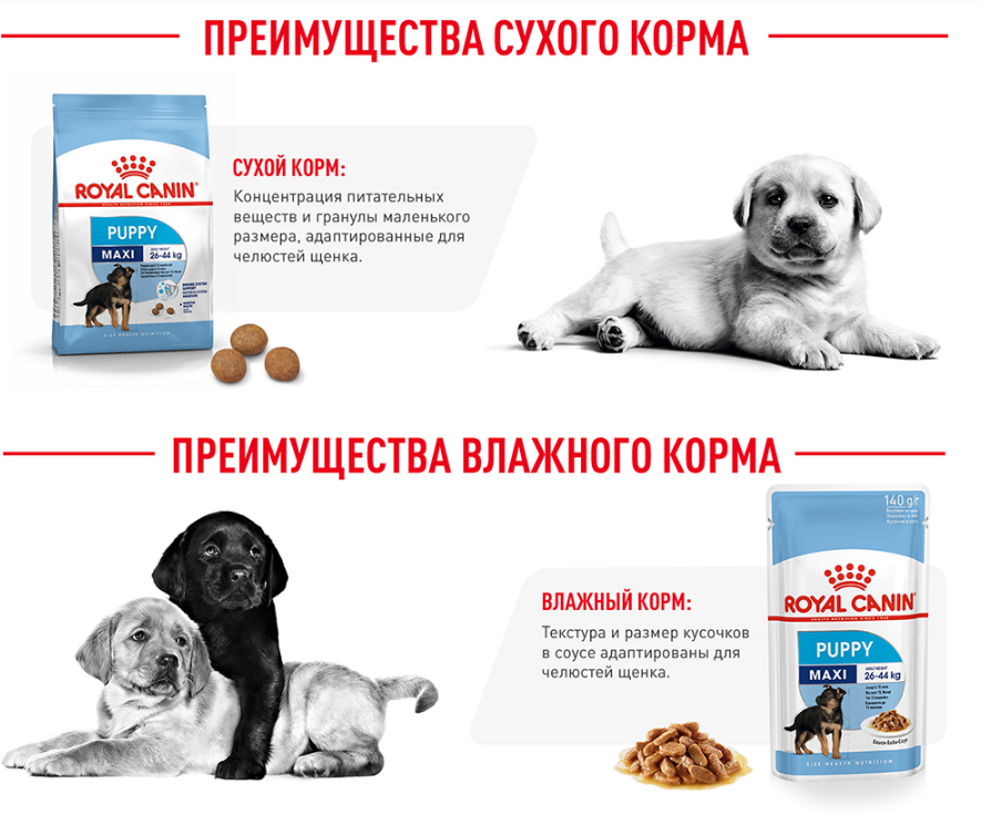 Royal canin puppy maxi схема кормления